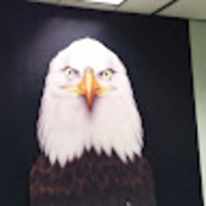 Meet your Posher, Don